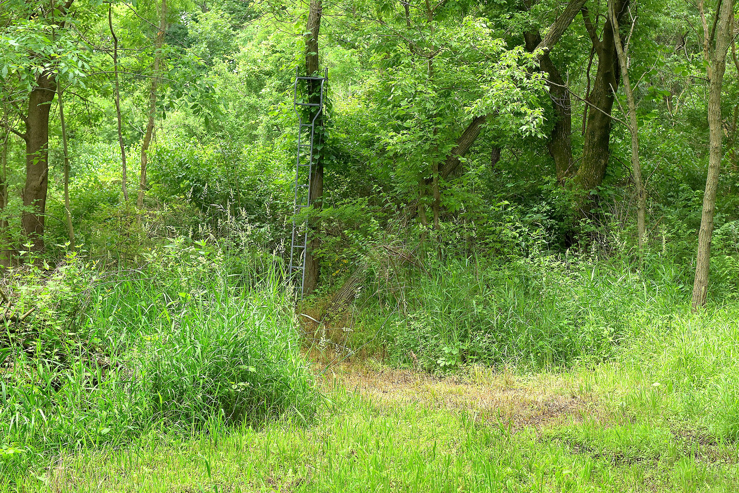 Lake County, Indiana farmland - LAND AUCTION - 147+/- ACRES OFFERED IN 3 TRACTS IN LAKE COUNTY, INDIANA